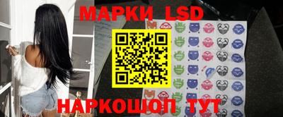 гидропоника Ставрополь