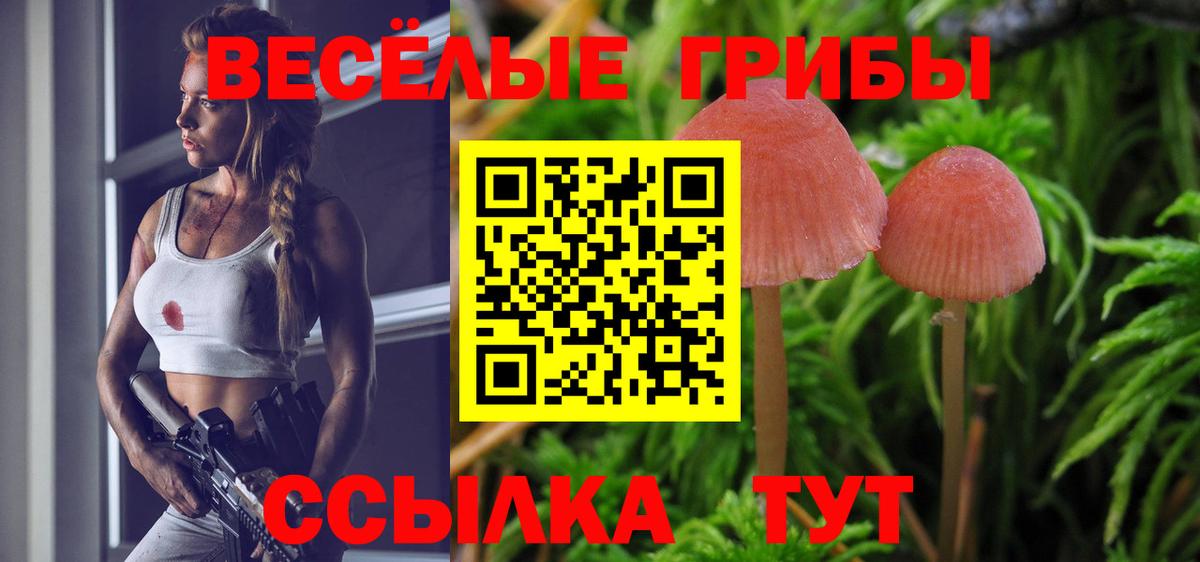 Галлюциногенные грибы GOLDEN TEACHER Новотроицк